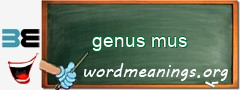 WordMeaning blackboard for genus mus